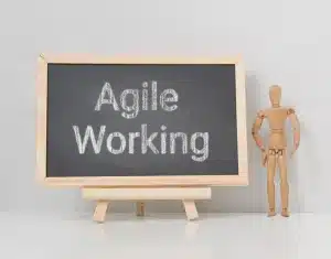 Blog Agile Working P8 2022 BlogPicture.png